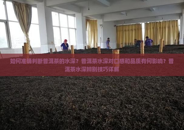 普洱茶怎么辨别水深
