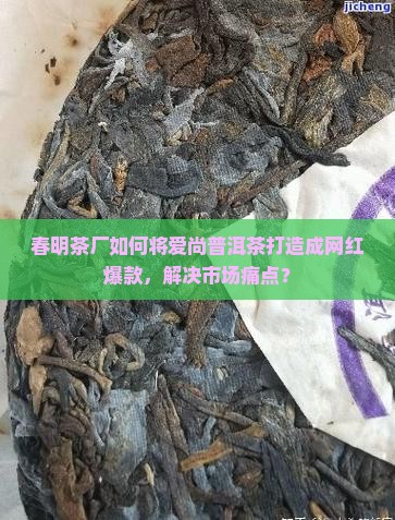 春明茶厂爱尚普洱茶