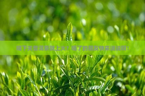 喝下关普洱茶上火
