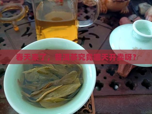 普洱茶啥时候上市卖