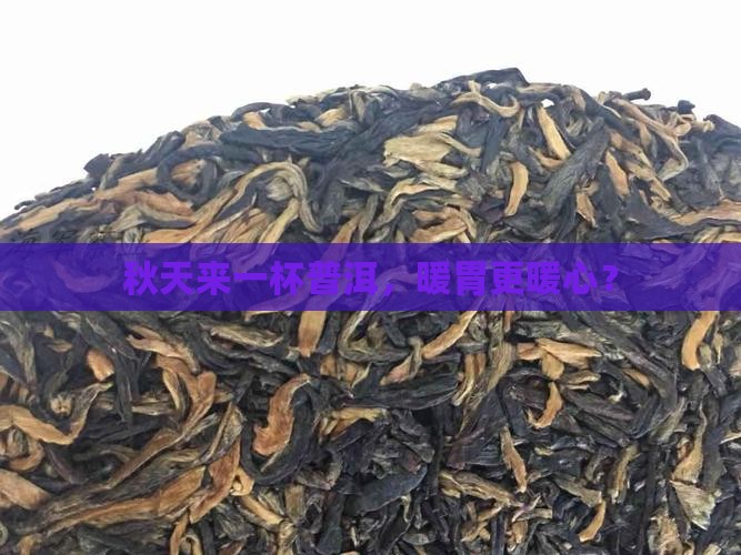 秋季喝普洱茶好不好