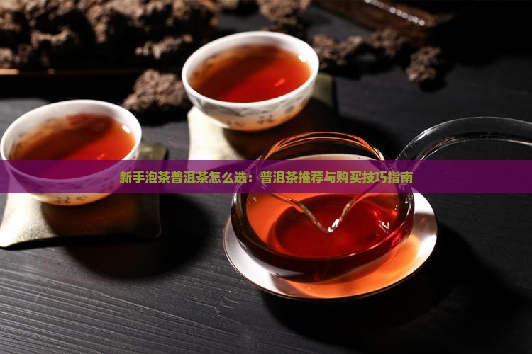 新手泡茶普洱茶怎么选