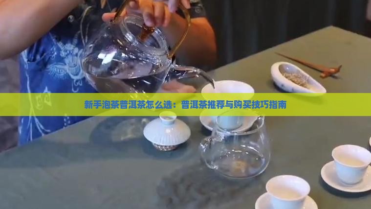 新手泡茶普洱茶怎么选