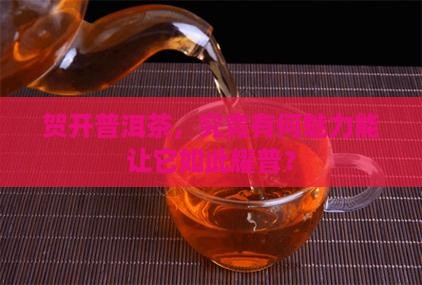 贺开普洱茶耀普