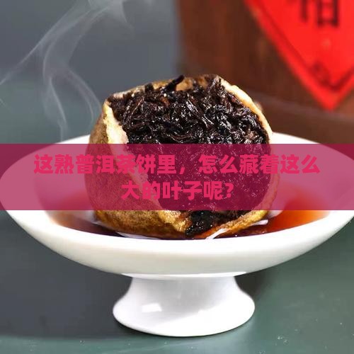 熟普洱茶饼上边有大叶子
