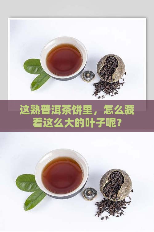 熟普洱茶饼上边有大叶子