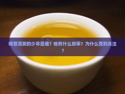 喝普洱茶的少年
