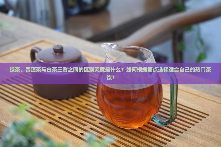 绿茶和普洱茶白茶区别