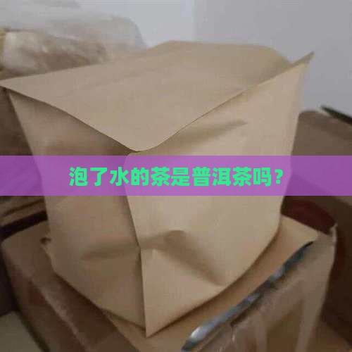泡了水的茶做普洱茶的吗