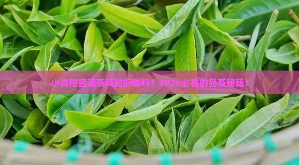 小青柑普洱茶好喝么