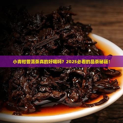 小青柑普洱茶好喝么