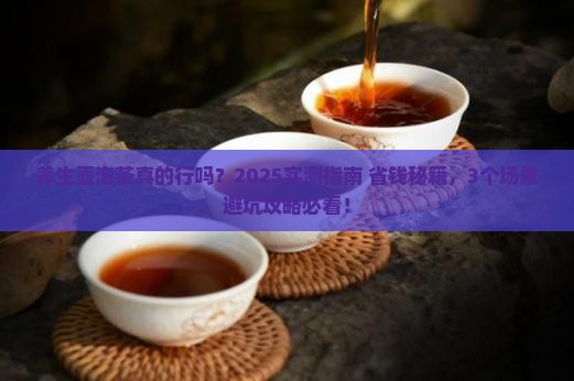养生壶可以泡茶叶么