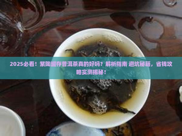 紫陶罐可以存普洱茶吗