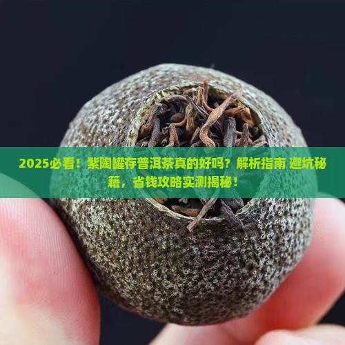 紫陶罐可以存普洱茶吗