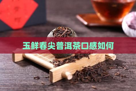 玉鲜春尖普洱茶好喝吗