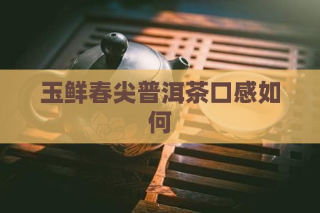 玉鲜春尖普洱茶好喝吗