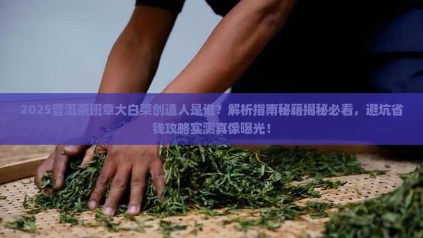 普洱茶班章大白菜创造人