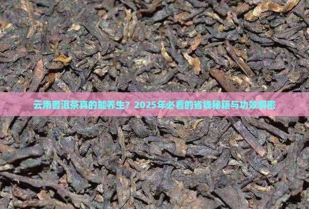 云南普洱茶的功效与价格