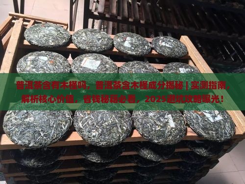 普洱茶含有木槿吗 普洱茶含有木槿吗