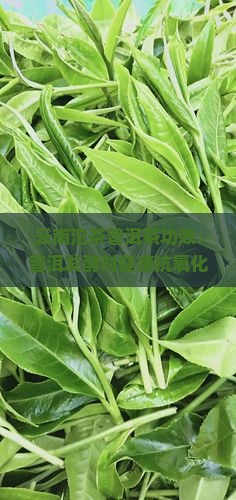云南坨茶普洱茶功效