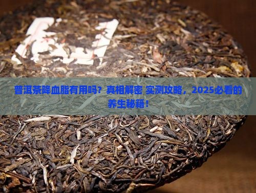 普洱茶降血脂有用吗
