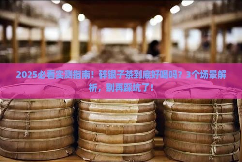 普洱茶碎银子到底好不好喝