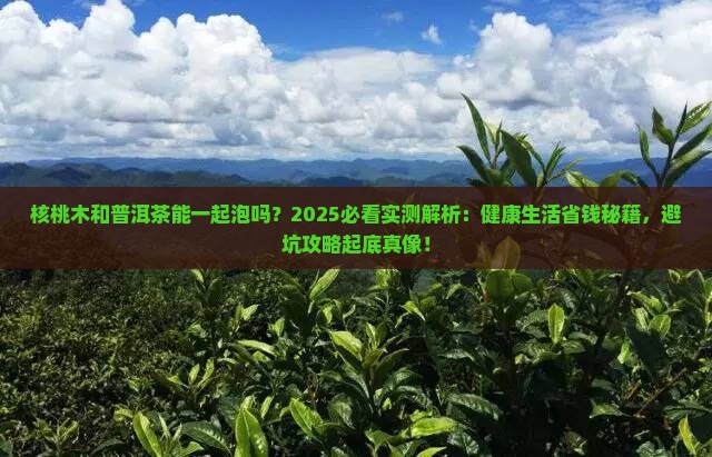 核桃木和普洱茶能一起泡吗