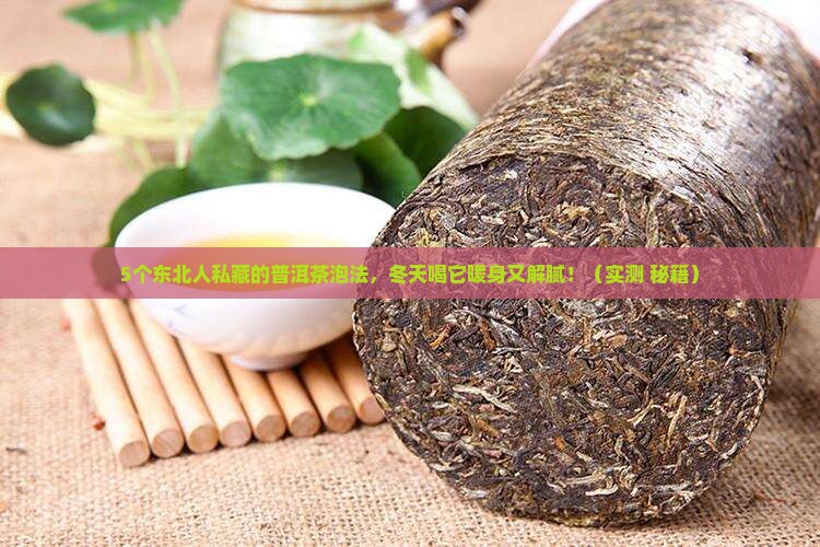 东北普洱茶的做法大全窍门