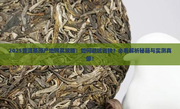 普洱茶原产地购买购