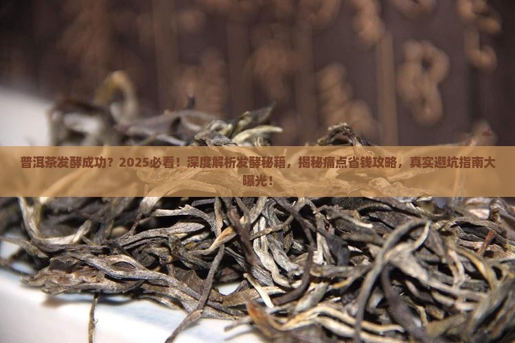 普洱茶发酵成功