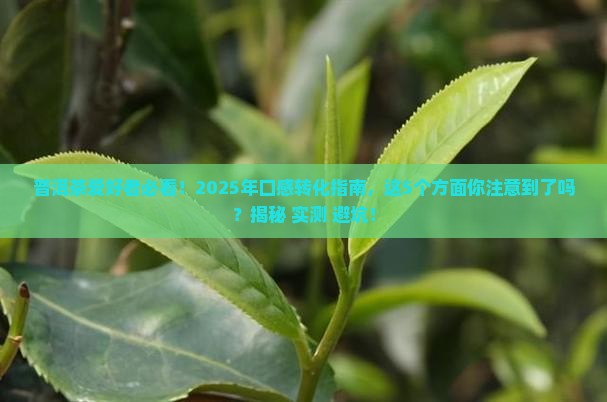 普洱茶口感转化表现为哪些方面