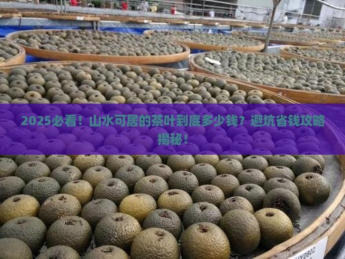 山水可居的茶叶多少钱