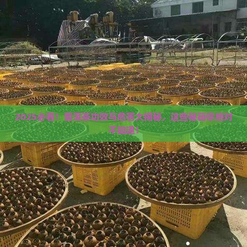 散普洱茶功效作用和危害 散普洱茶功效作用和危害