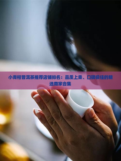 小青柑普洱茶推荐店铺排名