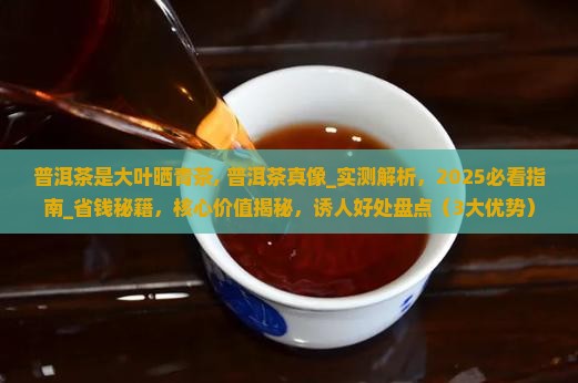 普洱茶是大叶晒青茶 普洱茶是大叶晒青茶