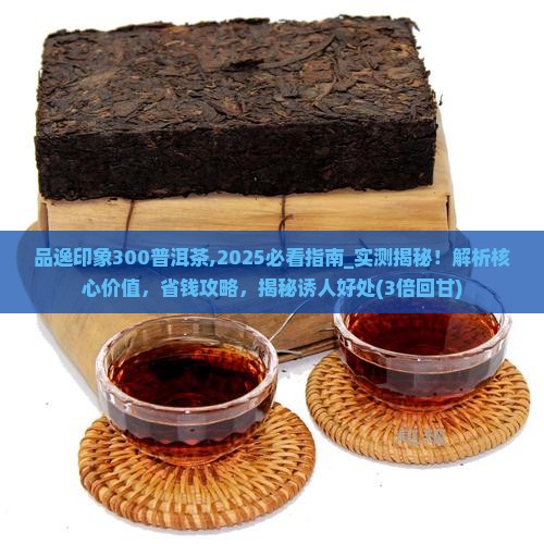 品逸印象300普洱茶