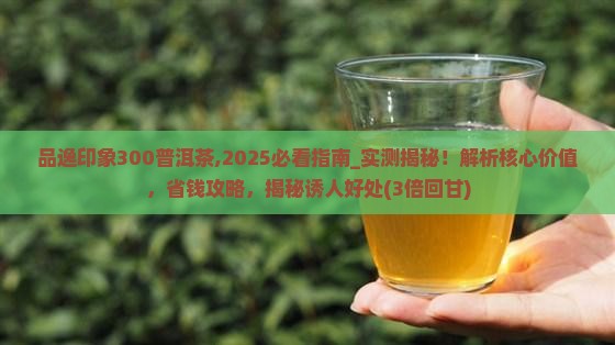 品逸印象300普洱茶