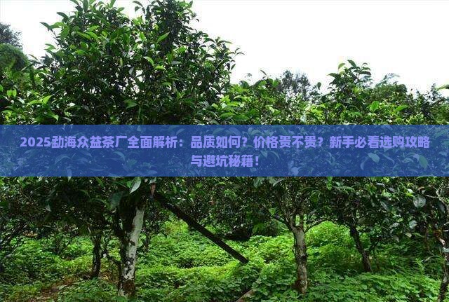 勐海众益茶厂怎么样