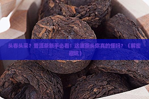 普洱茶头春头采什么意思