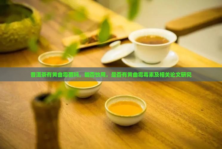 普洱茶有黄曲霉菌吗