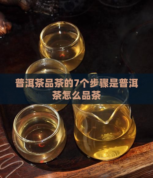 普洱茶品茶的7个步骤是