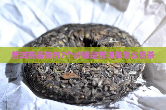 普洱茶品茶的7个步骤是