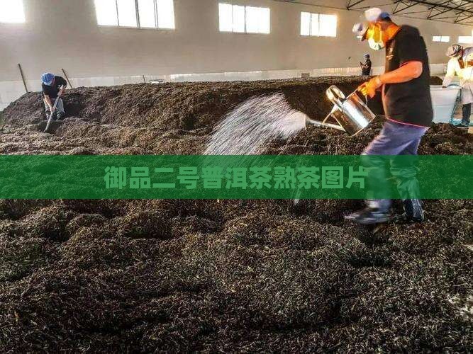 御品二号普洱茶熟茶