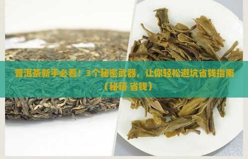 地标产品普洱茶