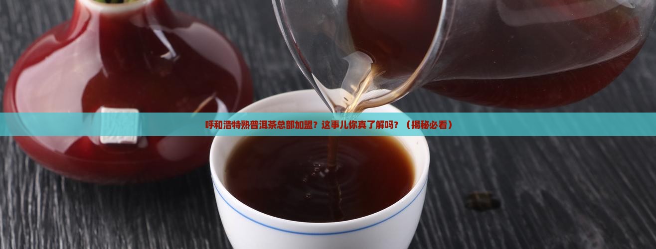 呼和浩特熟普洱茶总部加盟