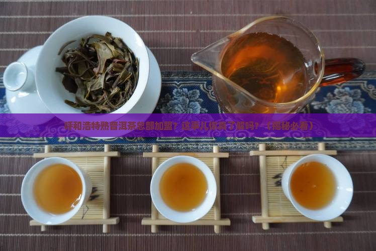 呼和浩特熟普洱茶总部加盟