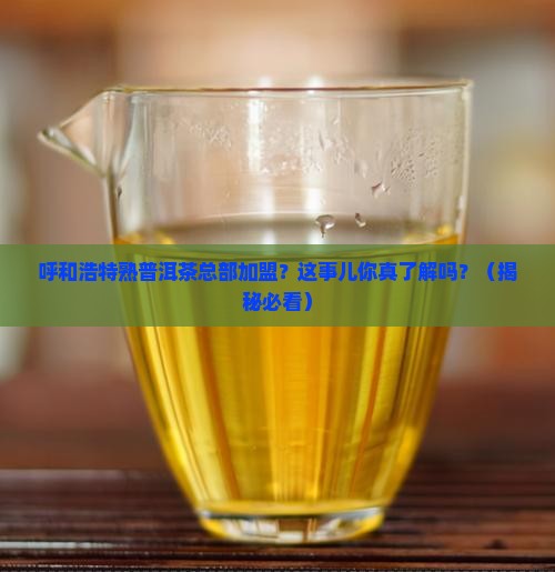 呼和浩特熟普洱茶总部加盟