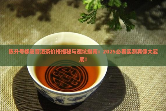 陈升号普洱茶价格表橡筋