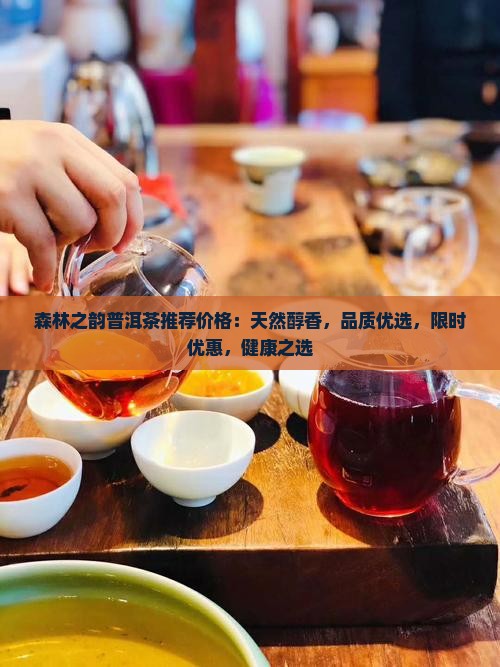森林之韵普洱茶推荐价格