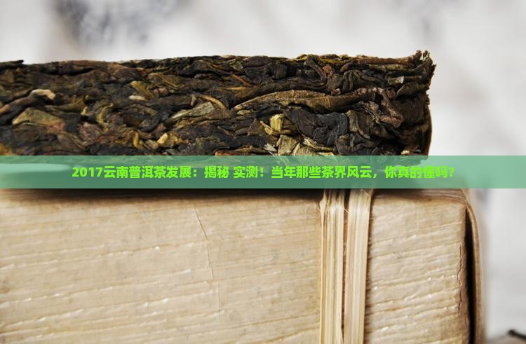 2017云南省普洱茶发展